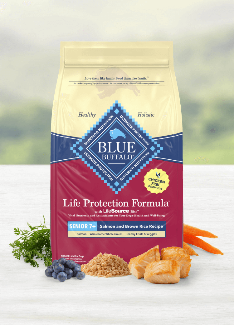 A bag of BLUE dog food shown with juicy salmon fillets and real, fresh fruits and vegetables.