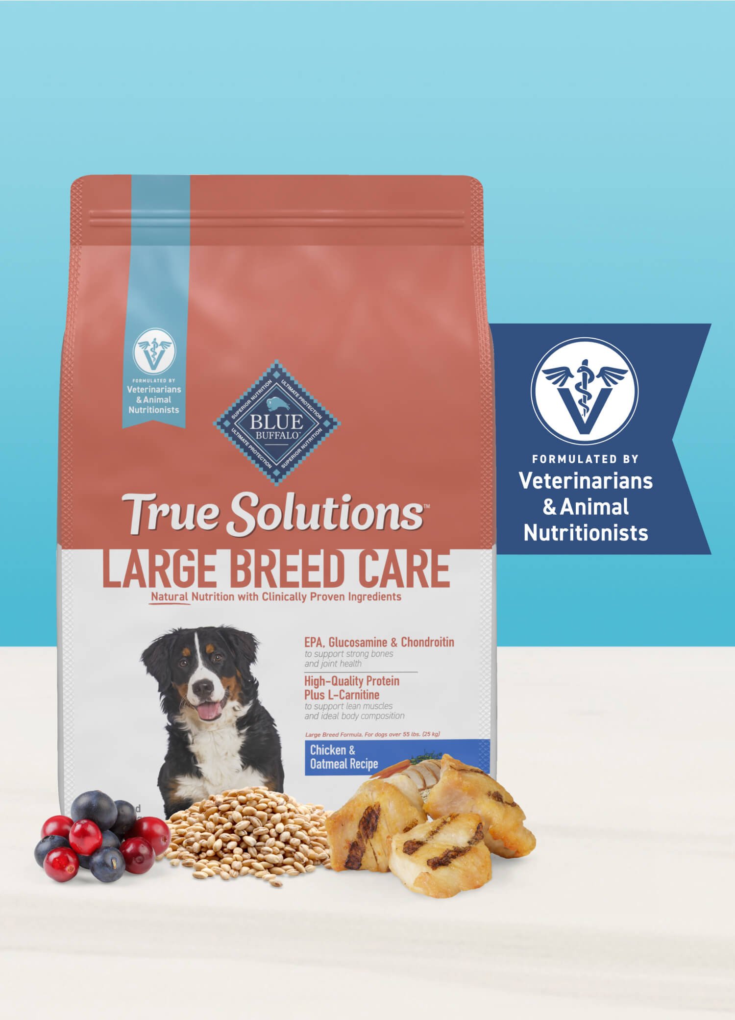 Bag of BLUE True Solutions™ Livin’ Large dog food