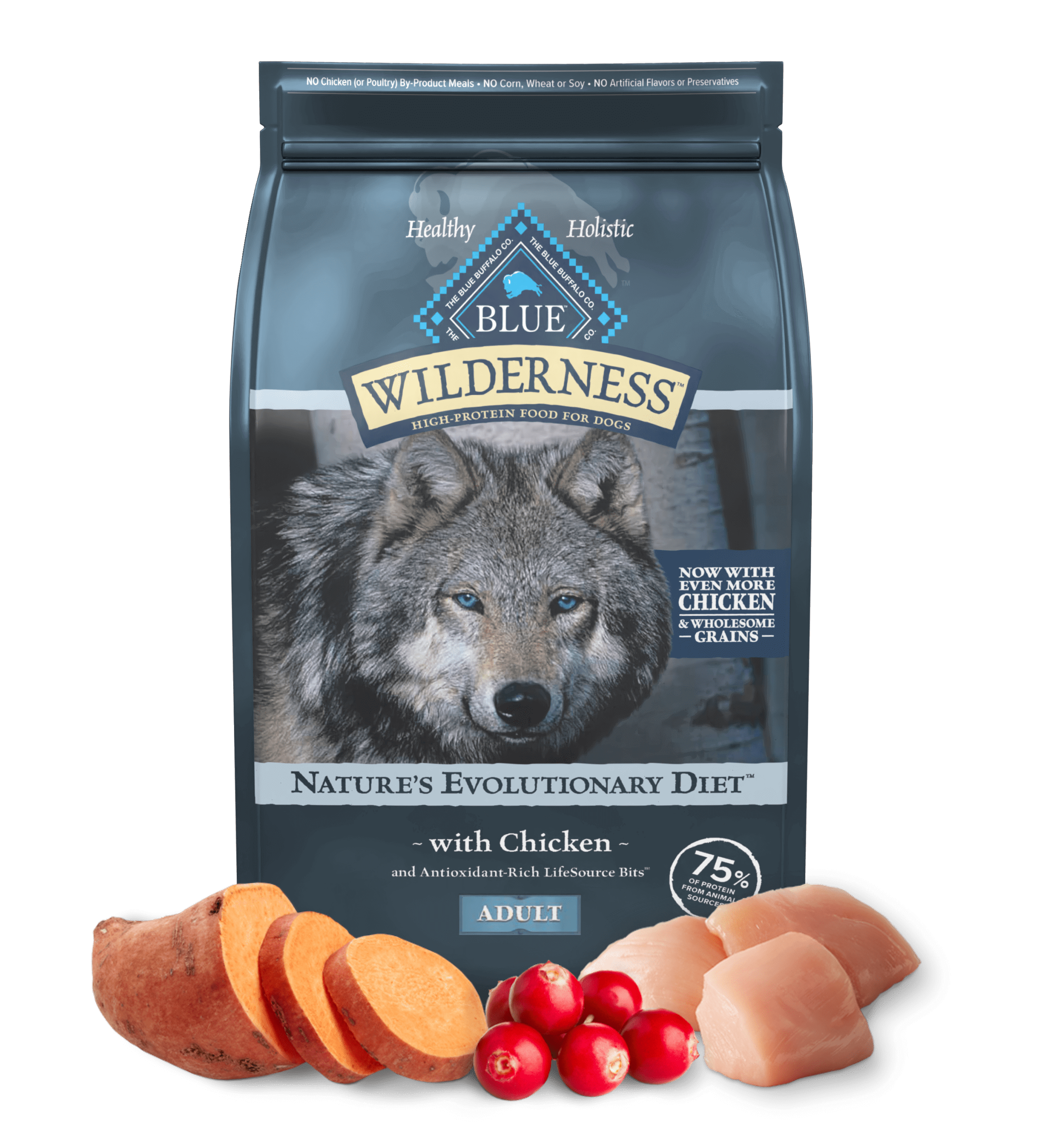 Wilderness Dog dry food