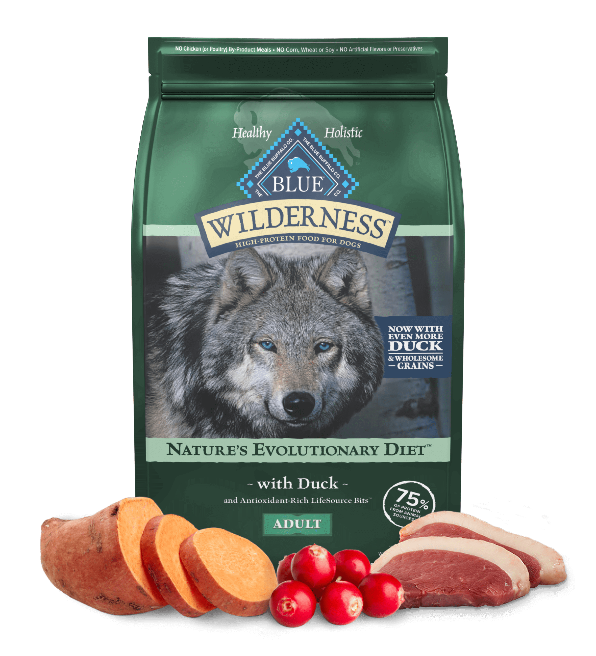 Wilderness Dog dry food