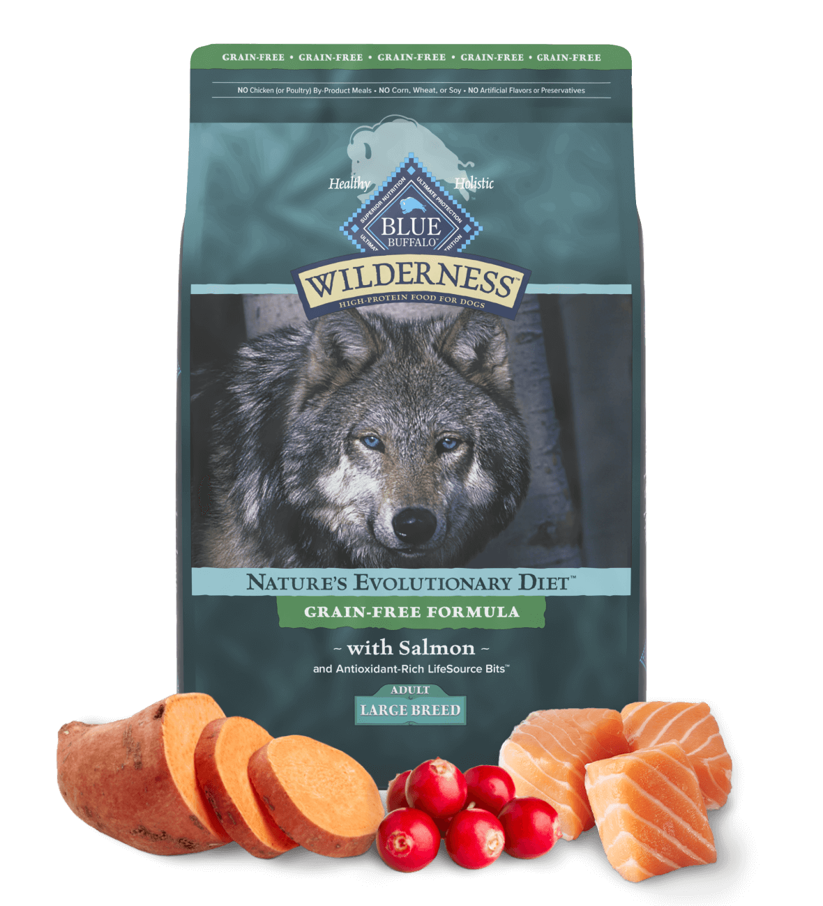 A bag of Wilderness dog food with salmon, sweet potatoes, and cranberries in front.