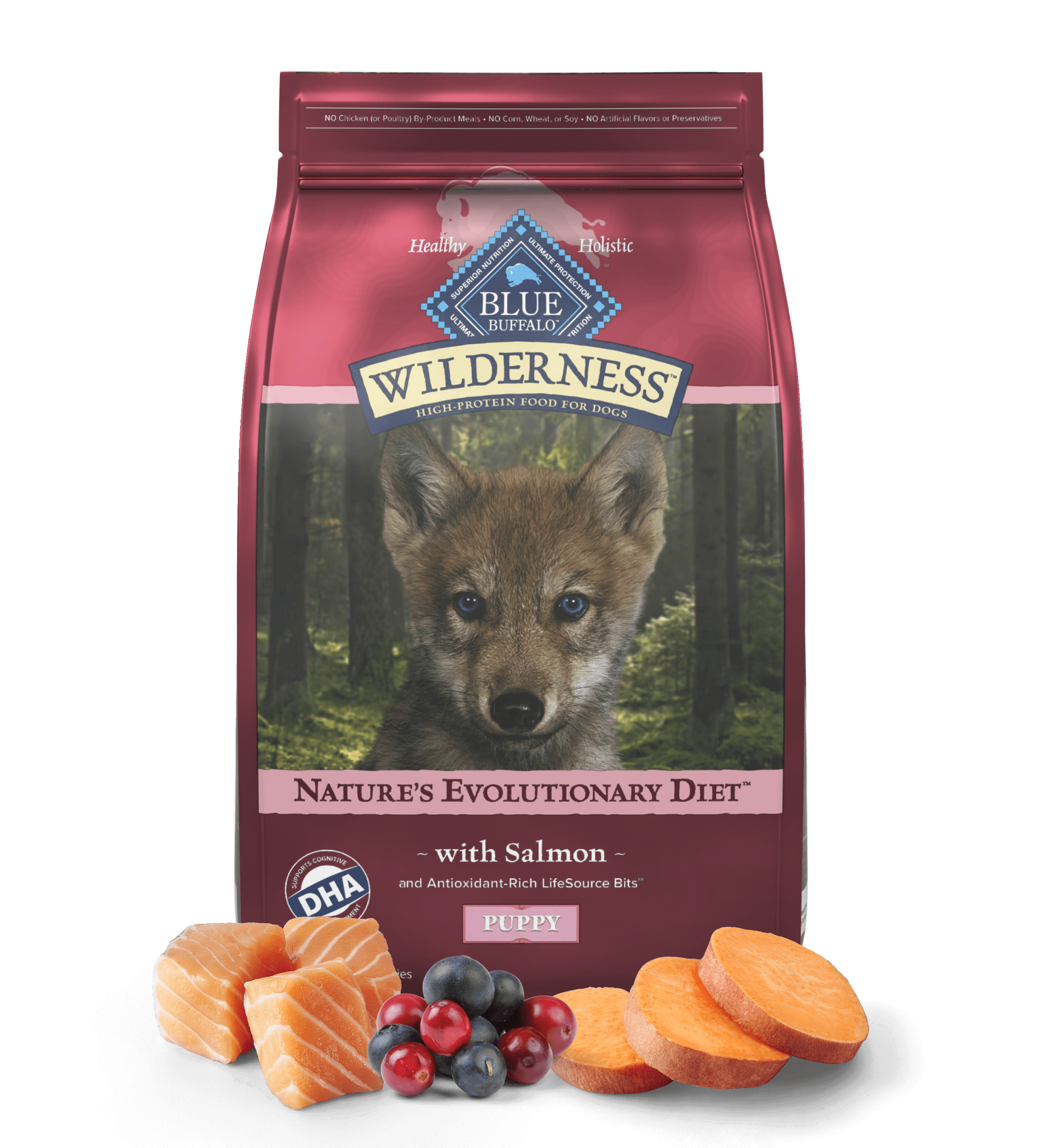 A bag of Wilderness salmon puppy food is behind salmon filets, a mound of cranberries and blueberries, and slices of sweet potato.