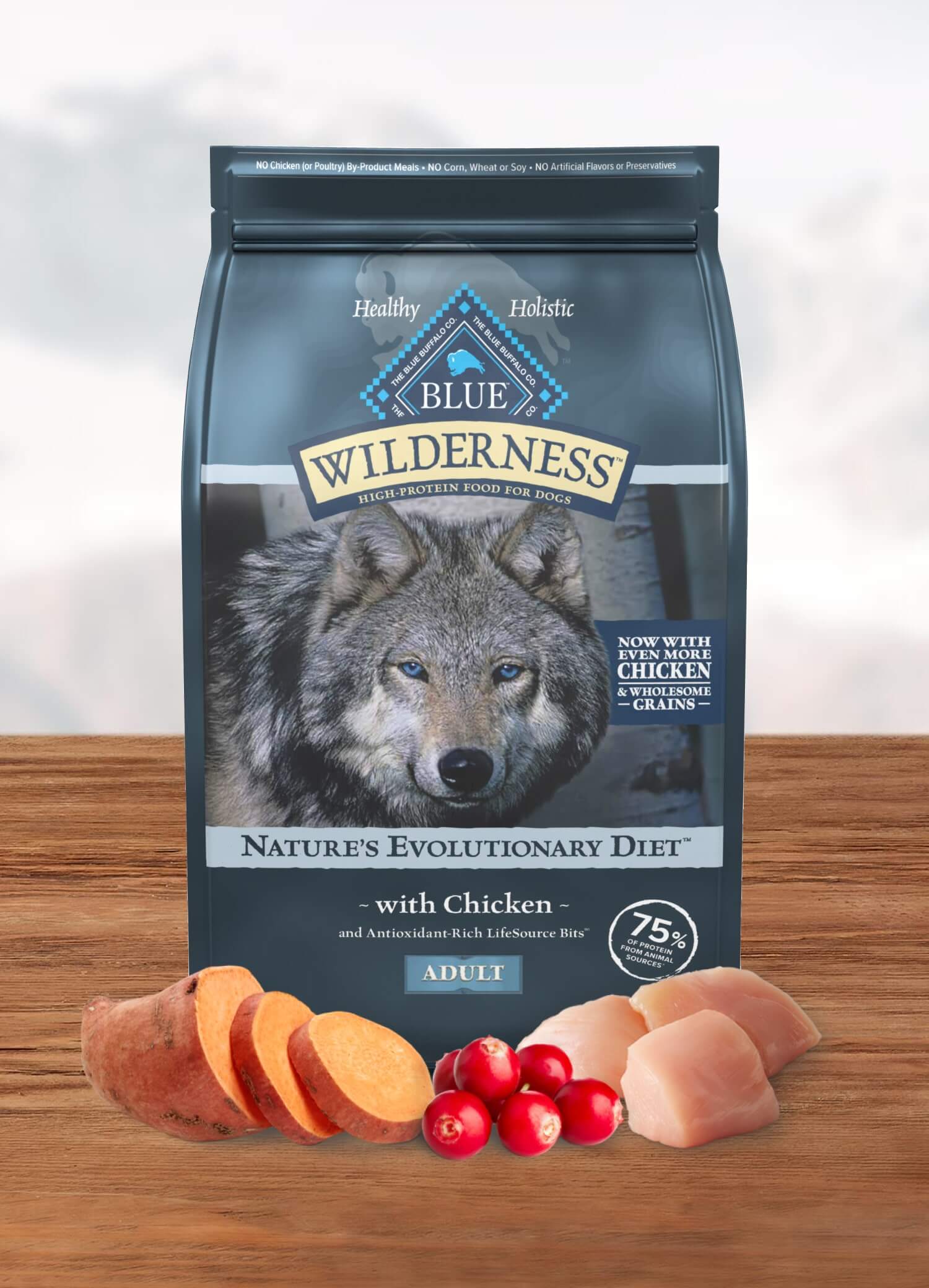 Wilderness Dog dry food