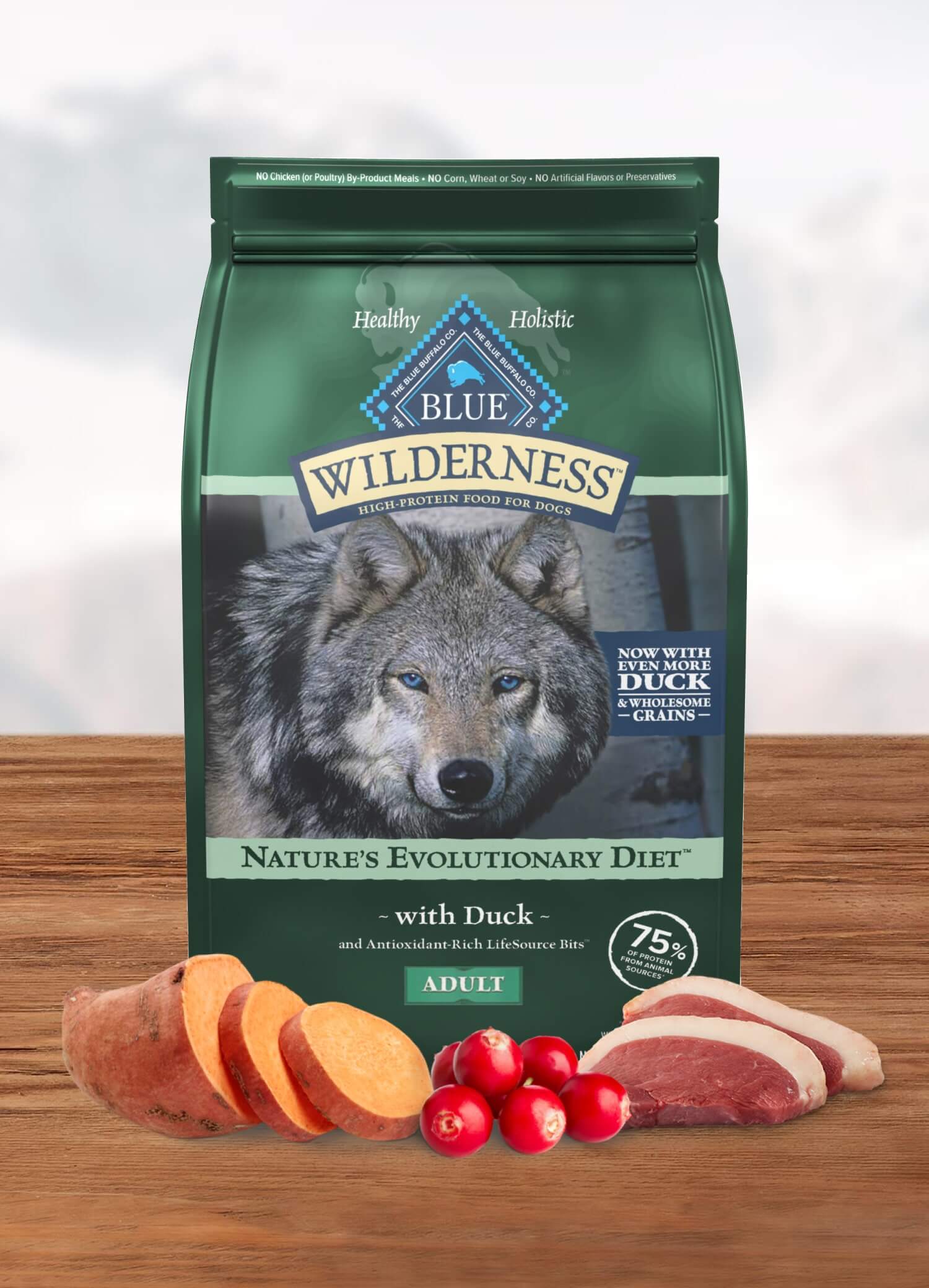 Wilderness Dog dry food