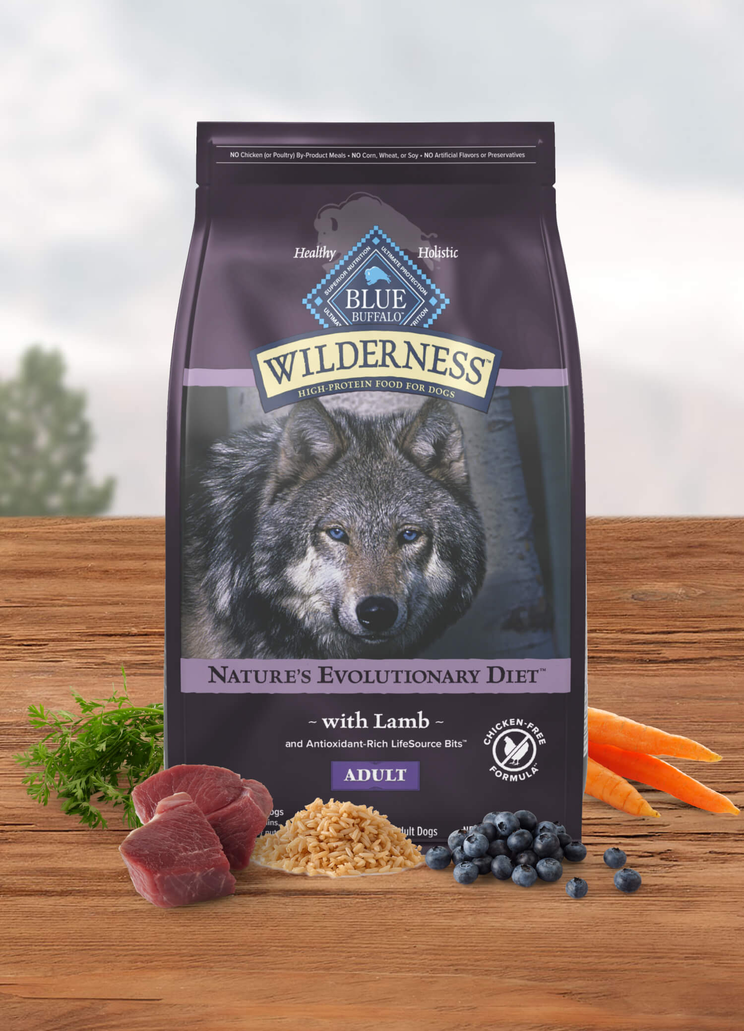 A bag of Wilderness adult dog food with lamb, surrounded by lamb cubes, carrots, parsley, and blueberries.