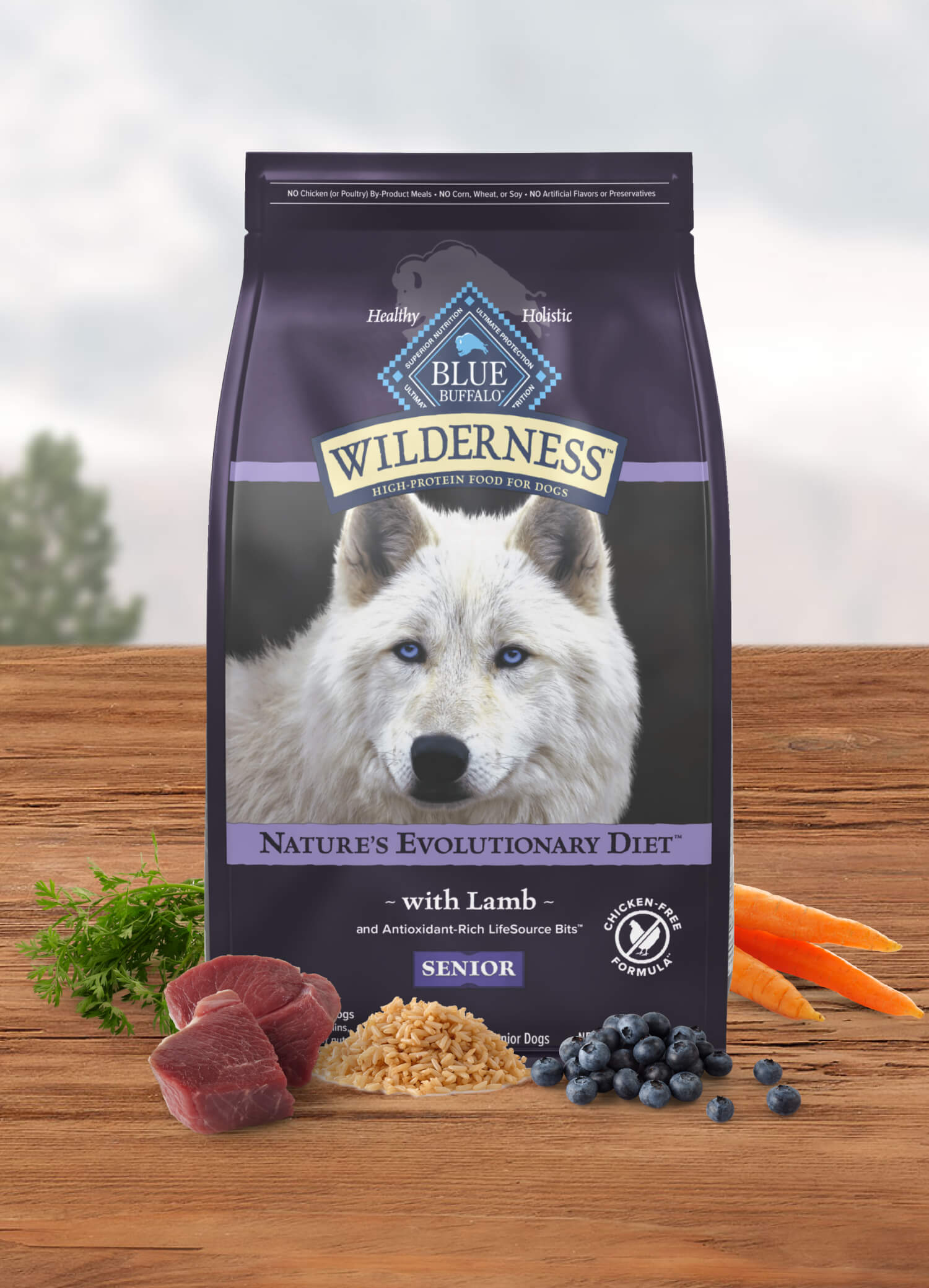 Senior dog food with lamb, rice, carrots, blueberries, and greens for a wholesome meal.