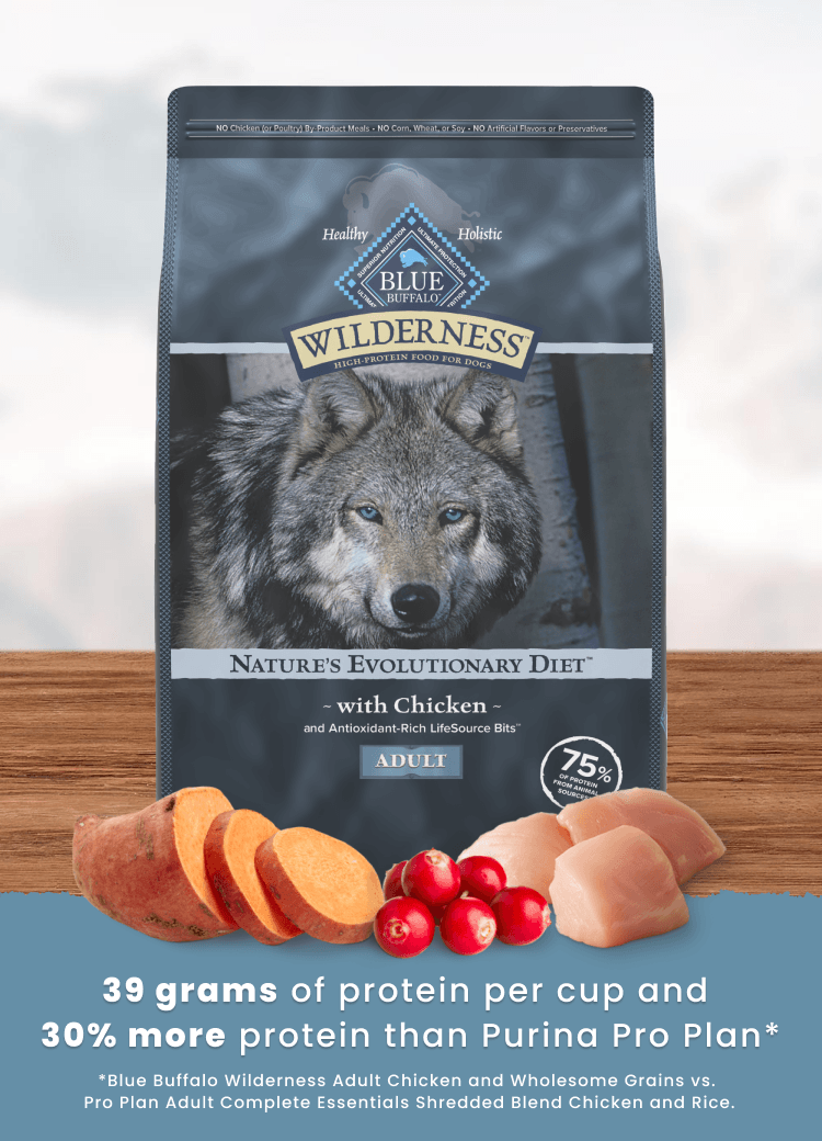 Blue Buffalo Wilderness Adult Chicken dry dog food bag with chicken pieces, sweet potato slices, and cranberries, alongside a claim of 39 grams of protein per cup and 30% more protein than Purina Pro Plan.