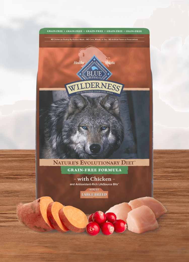 A bag of Blue Wilderness dog food with chicken, sweet potatoes, and cranberries on a rustic wooden surface.