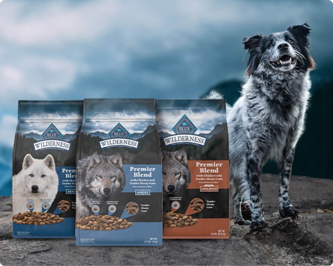 image of dog with bags of dog food