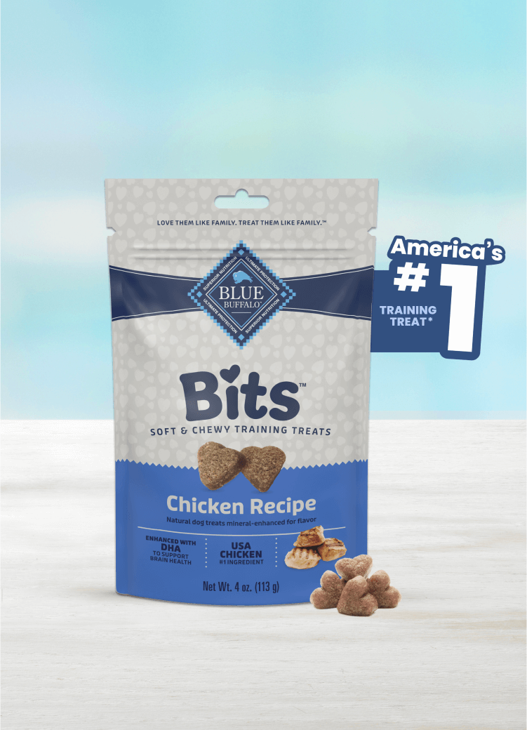blue bits tasty chicken soft training treats dog treats