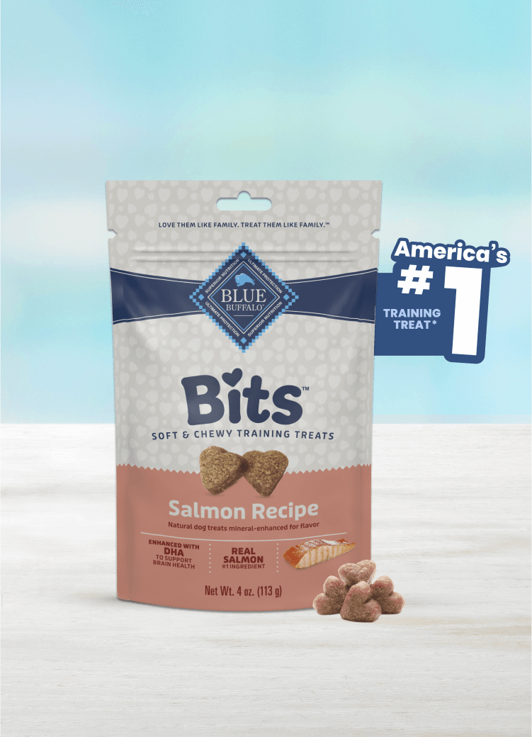 blue bits savory salmon soft training treats dog treats