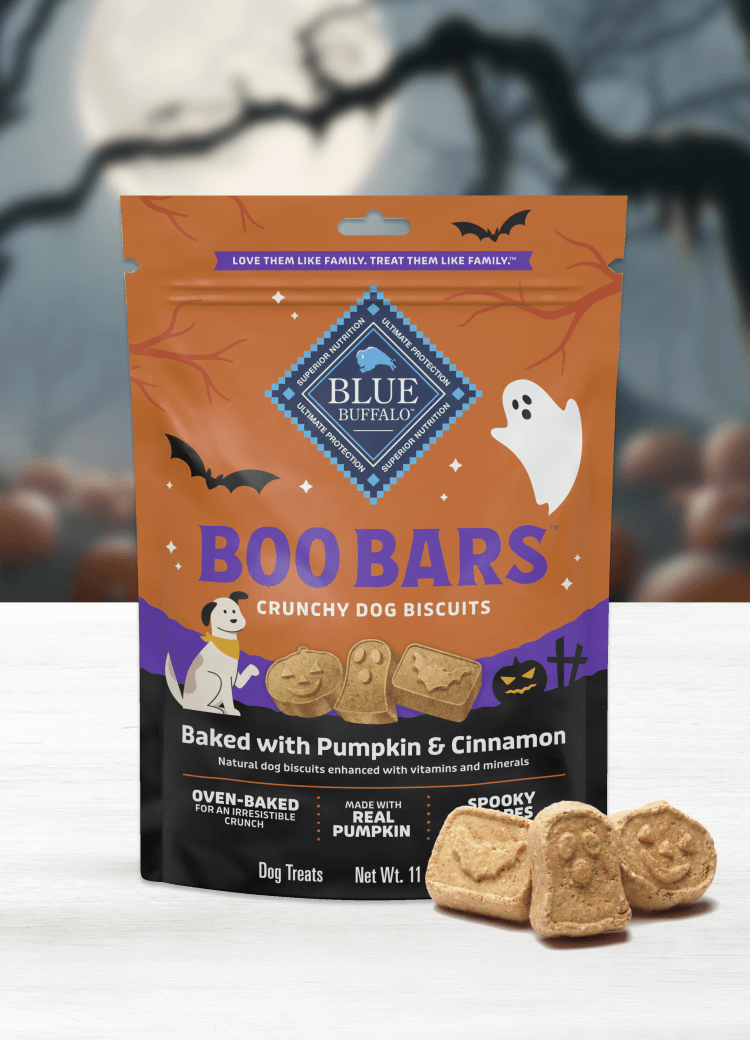 A bag of Boo Bars pumpkin and cinnamon dog biscuits with Halloween-themed packaging and tasty treats.