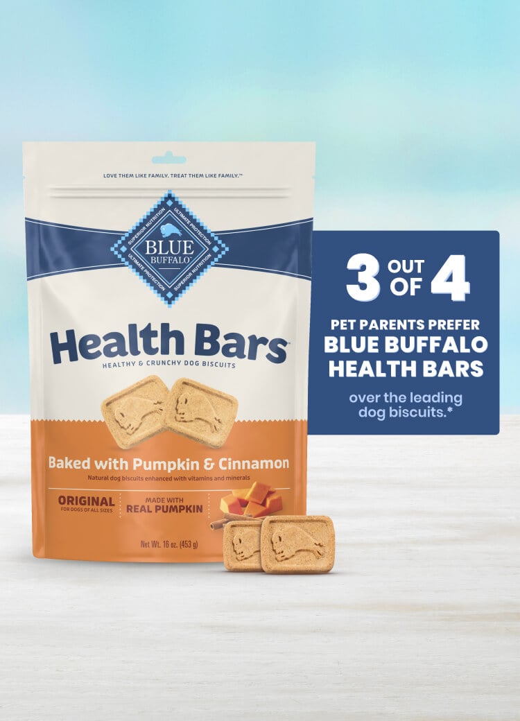 A bag of Health Bars dog biscuits with pumpkin and cinnamon flavor sits on a light surface.