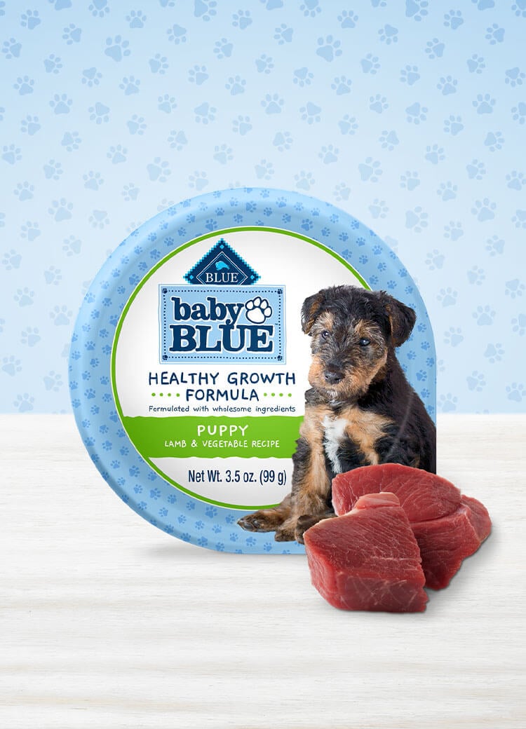 Cup of wet dog food