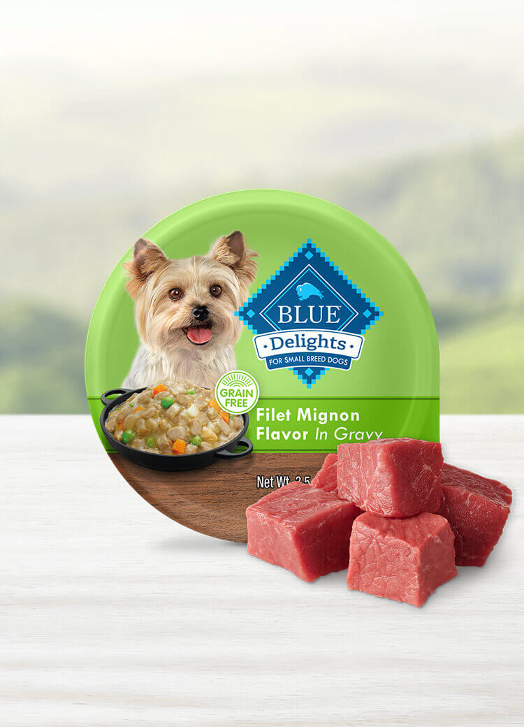 Can of wet dog food