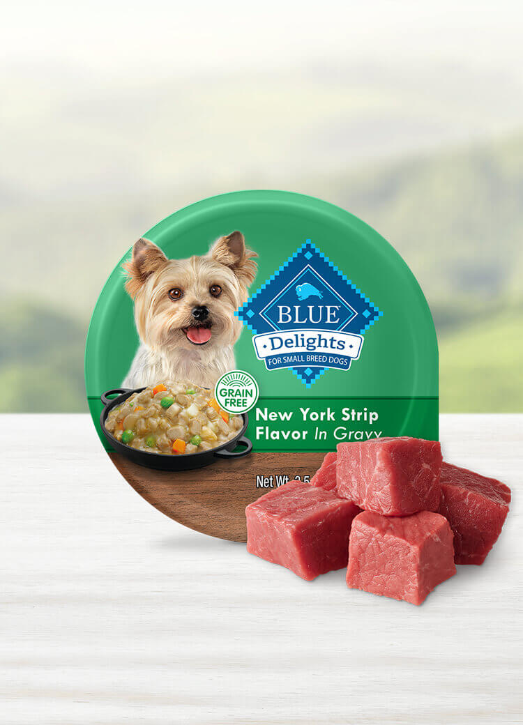 Can of wet dog food