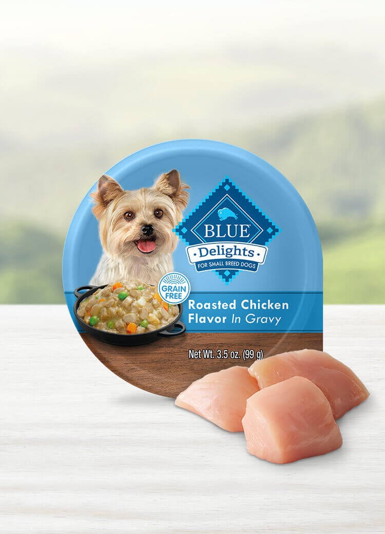 Can of wet dog food