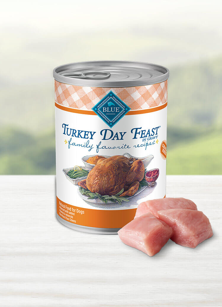Can of wet dog food