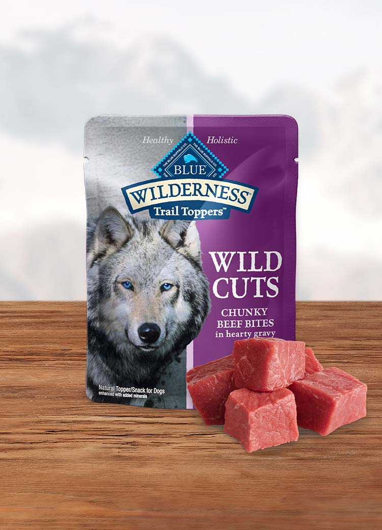 Pouch of wet dog food