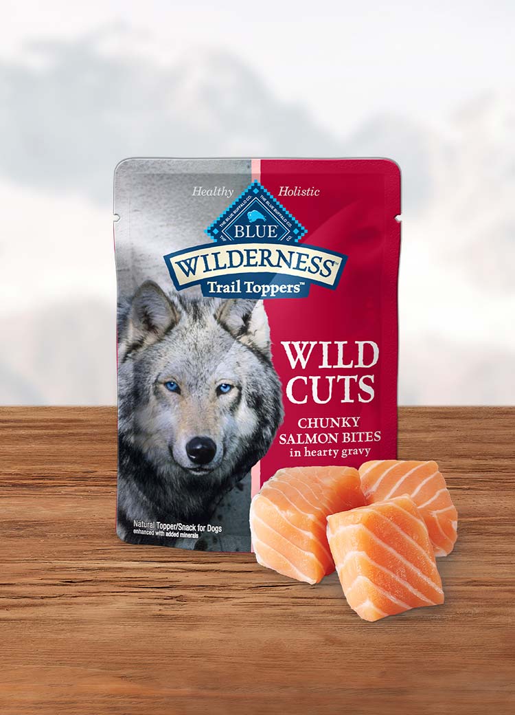 Pouch of wet dog food