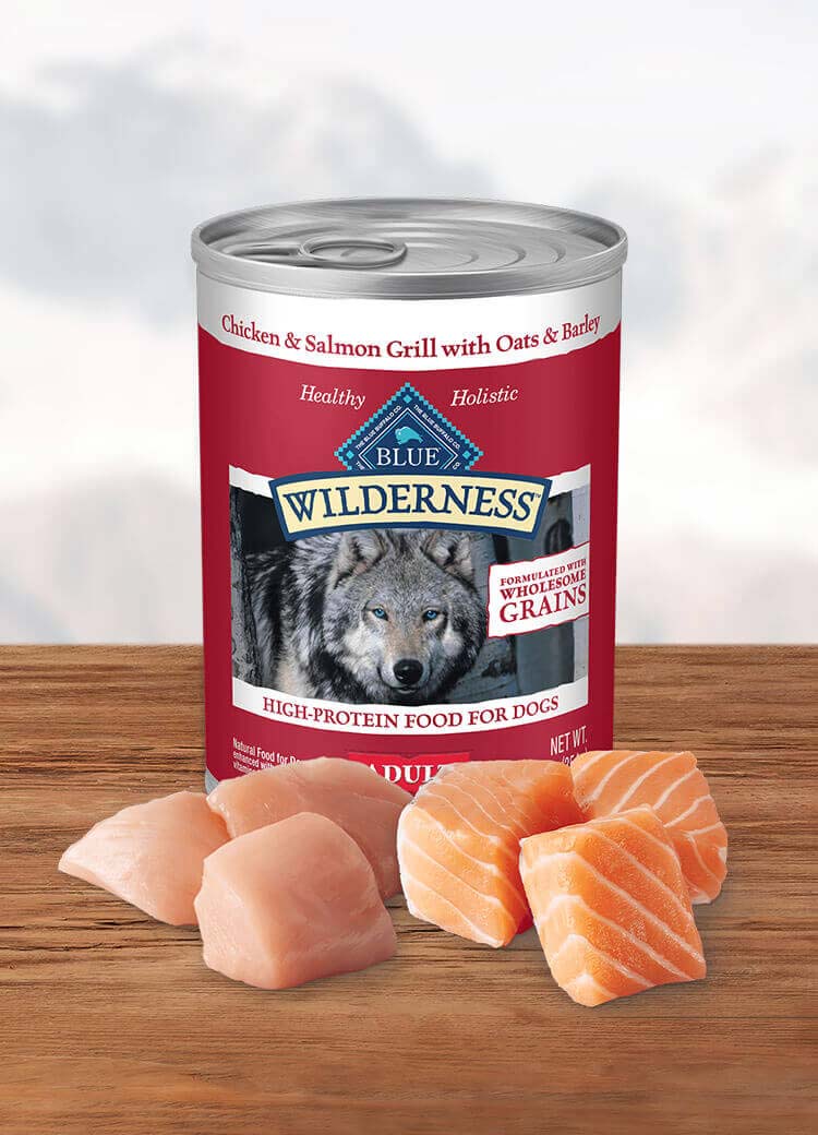 Can of wet dog food